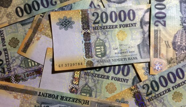 hungarian central bank sees no imminent need for e forint