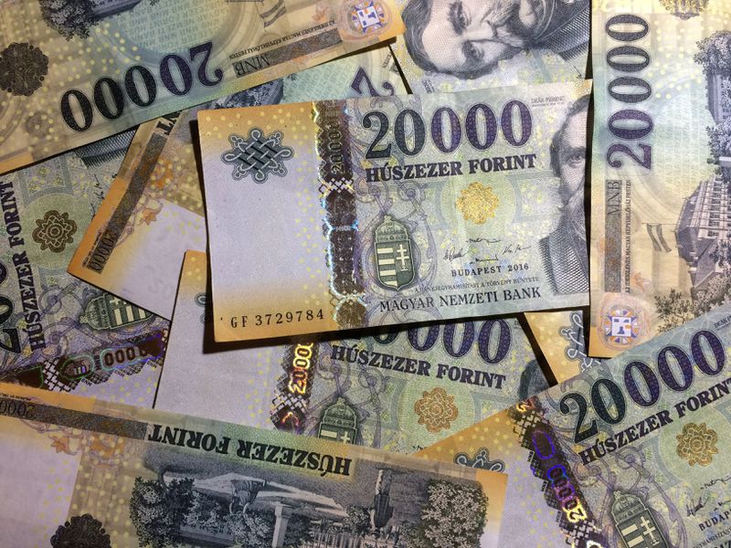 hungarian central bank sees no imminent need for e forint